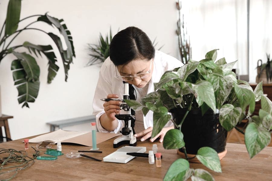 Bióloga observando una muestra en el microscopio junto a material de laboratorio y plantas
